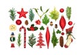 Collection of Winter Greenery and Symbols of Christmas