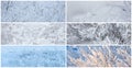 Collection of winter panoramic backgrounds with trees and bushes covered with hoarfrost. Royalty Free Stock Photo