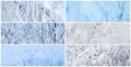 Collection of winter panoramic backgrounds with trees and bushes covered with hoarfrost. Royalty Free Stock Photo