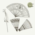 Collection womens old fans. Vector illustration sketch on paper background