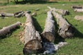 Collection of wood logs stacked on a grassy area in a rural landscape