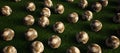 A collection of worn old footballs on artificial grass. Royalty Free Stock Photo