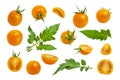 Collection of yellow orange tomatoes with green tails leaves isolated on white background. Fresh ripe Cherry tomatoes. Whole Royalty Free Stock Photo