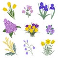 Collection of yellow and purple flowers on a white background Royalty Free Stock Photo