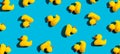 Collection of yellow rubber ducks Royalty Free Stock Photo