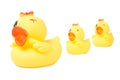 Collection of yellow rubber ducks family Royalty Free Stock Photo