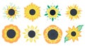 A collection of yellow summer flowers, a set of sunny flowers, flowers with leaves, a sunflower silhouette in a flat Royalty Free Stock Photo