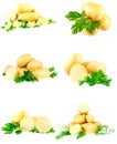 Collection of young potatoes, parsley . Isolated Royalty Free Stock Photo