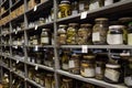 Collection of Zoology, snakes preserved for research and education