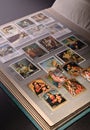 Collections of philatelist