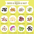 Collections of seed & bean & nut set two, food, vector
