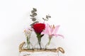 Collections of summer flowers in little glass vases near white wall, bright fresh red rose, pink lily and daisy flowers. Modern Royalty Free Stock Photo