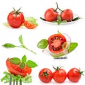 Collections of Tomatoes Royalty Free Stock Photo