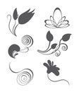 Collections of vector vintage floral design elemen Royalty Free Stock Photo