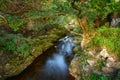 College Burn near Hethpool in small gorge Royalty Free Stock Photo