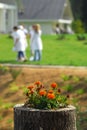 College Campus Flowerbed Royalty Free Stock Photo