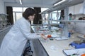 College chemistry lab, preparing for work. Female lab assistant putting laboratory supplies on a bench