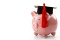 College education costs, tuition financial aid, university graduate economic cost concept theme with close up on piggy bank Royalty Free Stock Photo