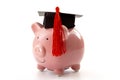 College education costs, tuition financial aid, university graduate economic cost concept theme with close up on piggy bank Royalty Free Stock Photo