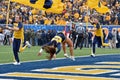 2014 College Football - Cheerleaders