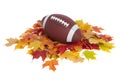 College football on fall leaves isolated on white