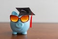 College graduate student diploma piggy bank. Royalty Free Stock Photo