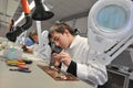 College students in electrical engineering in the classroom Royalty Free Stock Photo