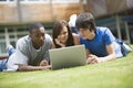 College students using laptop on campus lawn,