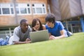 College students using laptop on campus lawn Royalty Free Stock Photo
