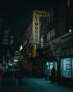 College Wine & Liquors vintage sign at night, Brooklyn, New York