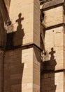 Collegial Notre Dame in Beaune and shadows of crosses.