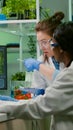 Collegues checking medical expertise on computer researching for gmo meat sample