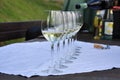 Colli Orientali del Friuli, Italy. Wine tasting glass. Royalty Free Stock Photo