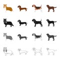 Collie, dachshund, beagle, and other web icon in cartoon style.Dog, animal, domestic, icons in set collection.