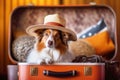 Collie dog in a hat sitting in a suitcase. Travel concept with pets. Generative AI