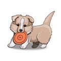 Collie Puppy With Frisbee. Cartoon Character Illustration