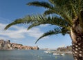 Collioure