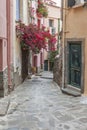 Collioure,Occitanie,France. Royalty Free Stock Photo