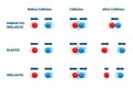 Collisions vector illustration. Elastic and perfectly inelastic examples.