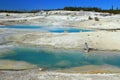 Norris Geyser Basin with Colloidal Pool in Porcellain Basin, Yellowstone National Park, Wyoming Royalty Free Stock Photo