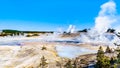 Colloidal Pool and other Geysers in the Porcelain Basin of Norris Geyser Basin area in Yellowstone National Park in WY USA Royalty Free Stock Photo