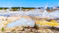 Colloidal Pool and other Geysers in the Porcelain Basin of Norris Geyser Basin area in Yellowstone National Park in WY USA Royalty Free Stock Photo