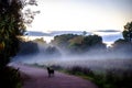 Collserola Park in Barcelona, Spain Royalty Free Stock Photo