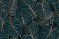 Colocasia green leaf, Monstera delicosa tree seamless pattern, gold leaves