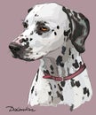 Coloful hand drawing vector portrait of dalmatian