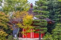 Colorful Red Aizendo Fall Leaves Tofuku-Ji Buddhist Temple Kyoto Japan Royalty Free Stock Photo