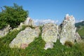 Coloful Rocks And Grass