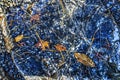 Colorful Stone Walkway Fall Leaves Kinkaku-Ji Golden Temple Kyoto Japan Royalty Free Stock Photo