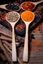 Coloful various spice and herbs in wood spoon on natural texture Royalty Free Stock Photo