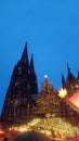 Cologne Cathedral Christmas Garden Royalty Free Stock Photo